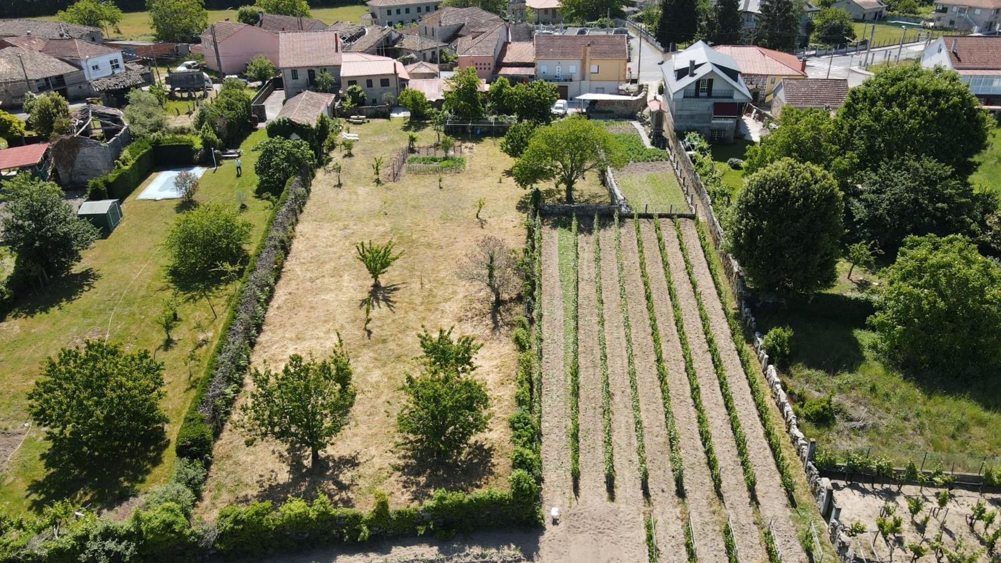 Casa Da Penela Villa Nogueira De Ramuin Eksteriør bilde
